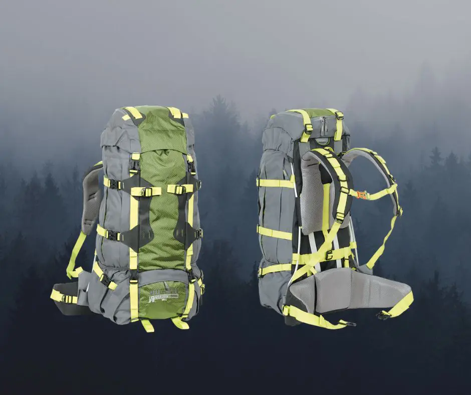 Two backpacks are shown in front of a forest.