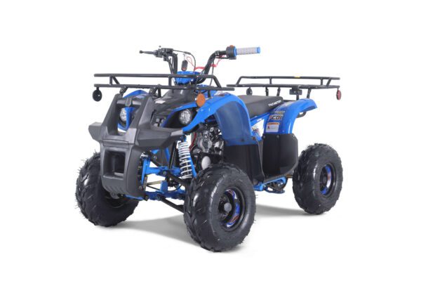 A blue atv with a rack on the back of it.