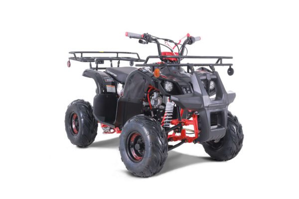 A black and red atv with a rack on the back.